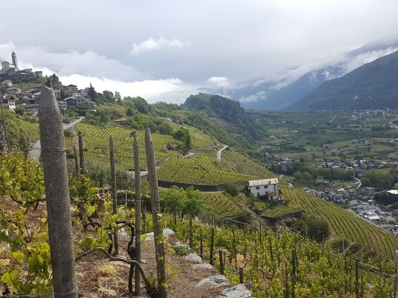 Valtellina - O Vale Esquecido