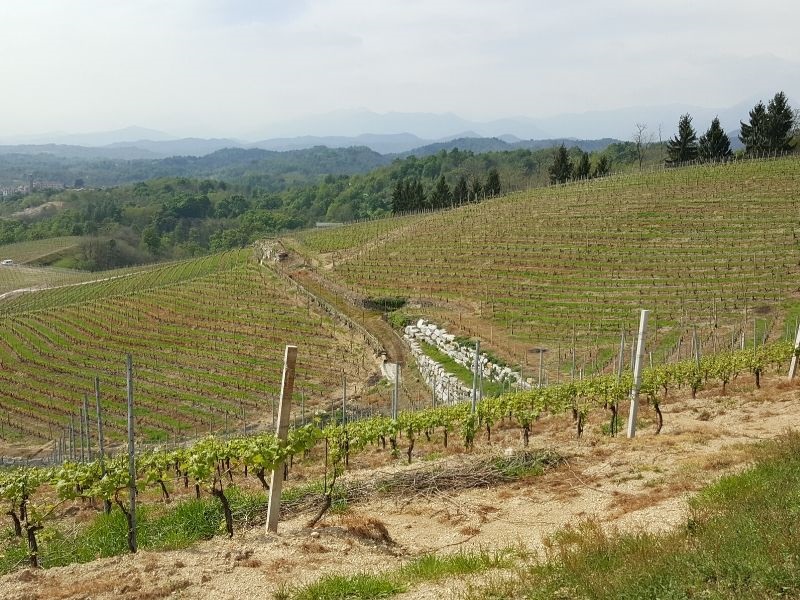 A Riqueza do Terroir da Italia