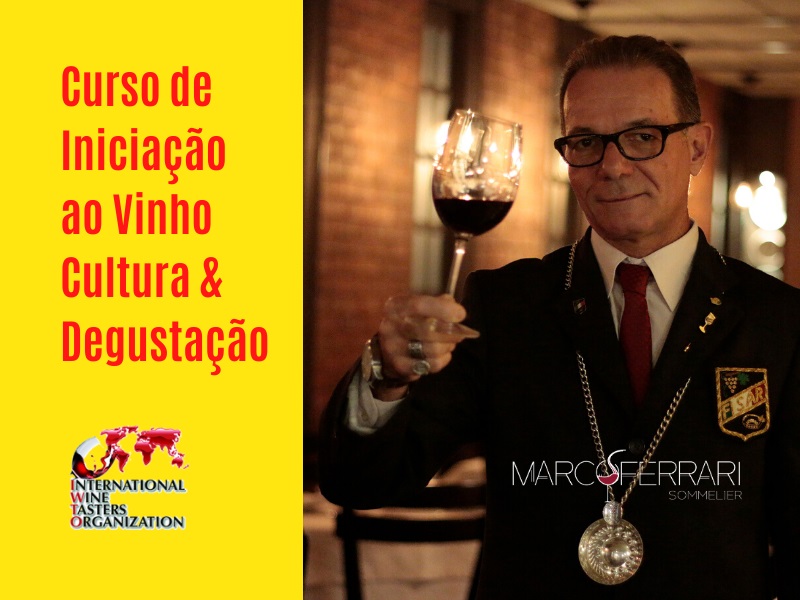 Curso de Iniciao ao Vinho. Cultura e Degustao