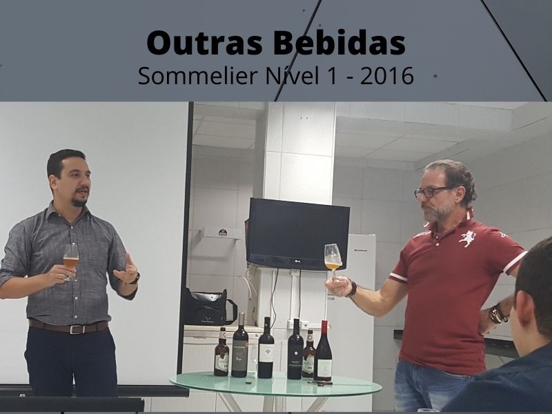 Alex Bicudo e Marco Ferrari - Treinamento de cervejas artesanais - Curso de Sommelier Nivel 1 - 2016