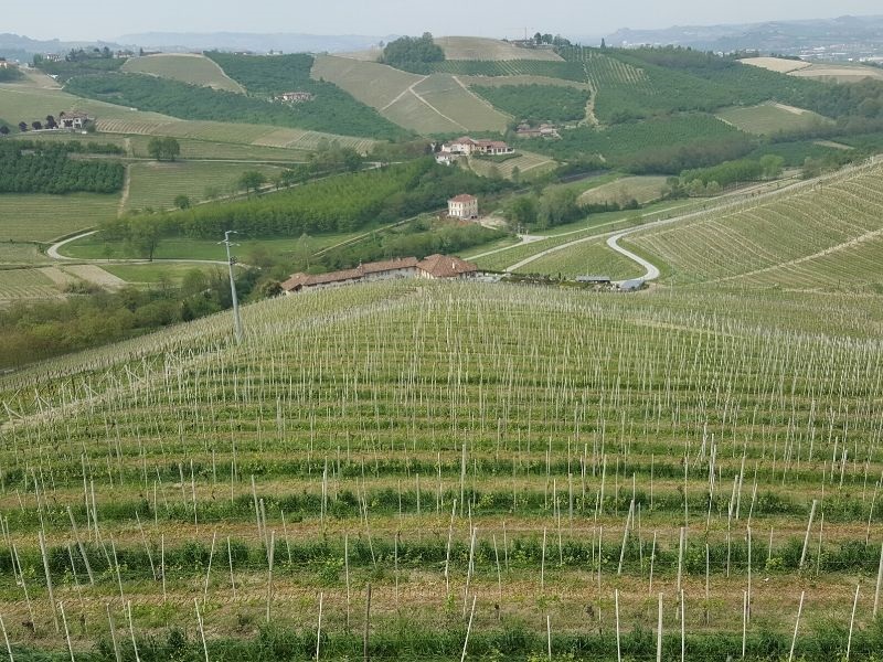 Barbaresco - Cru Rabaja