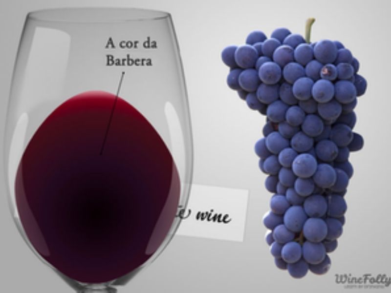 Barbera